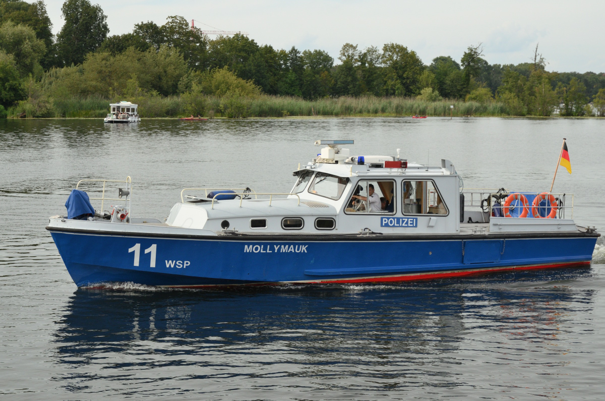 DSC_1650.JPG