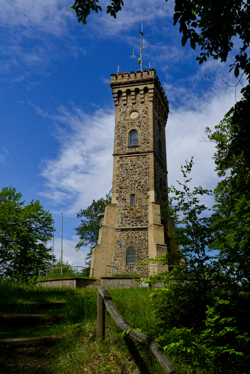 DSC_1651.jpg