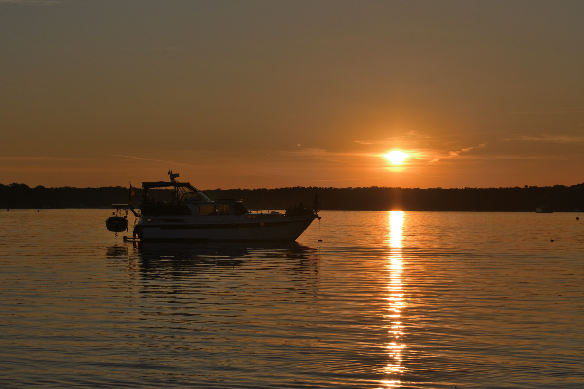 DSC_1652.JPG