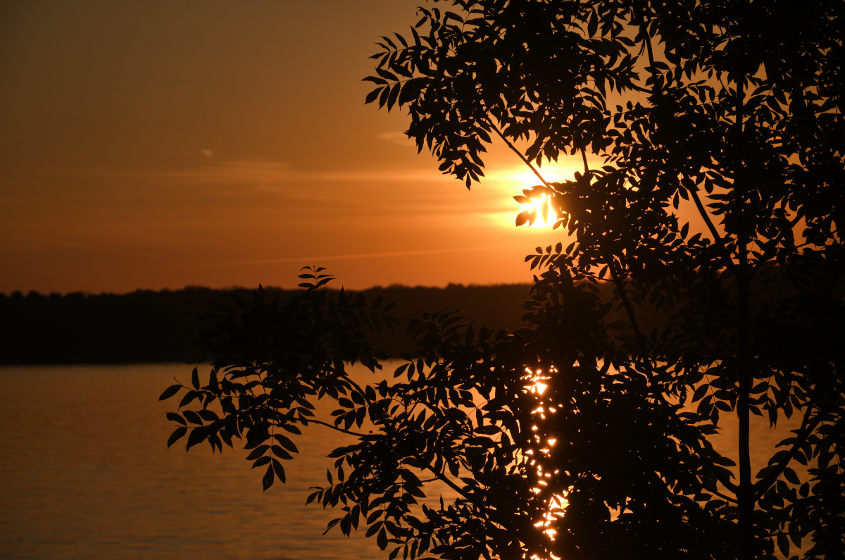 DSC_1655.JPG