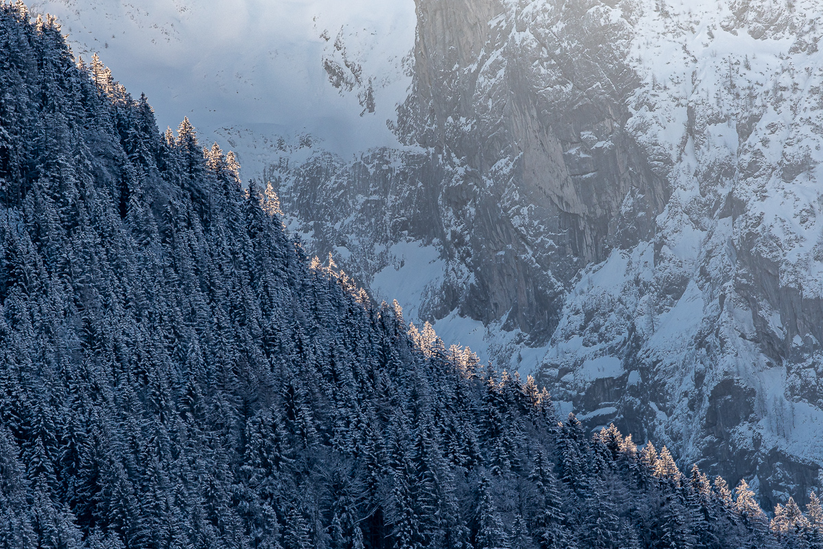 DSC_1657-3.jpg
