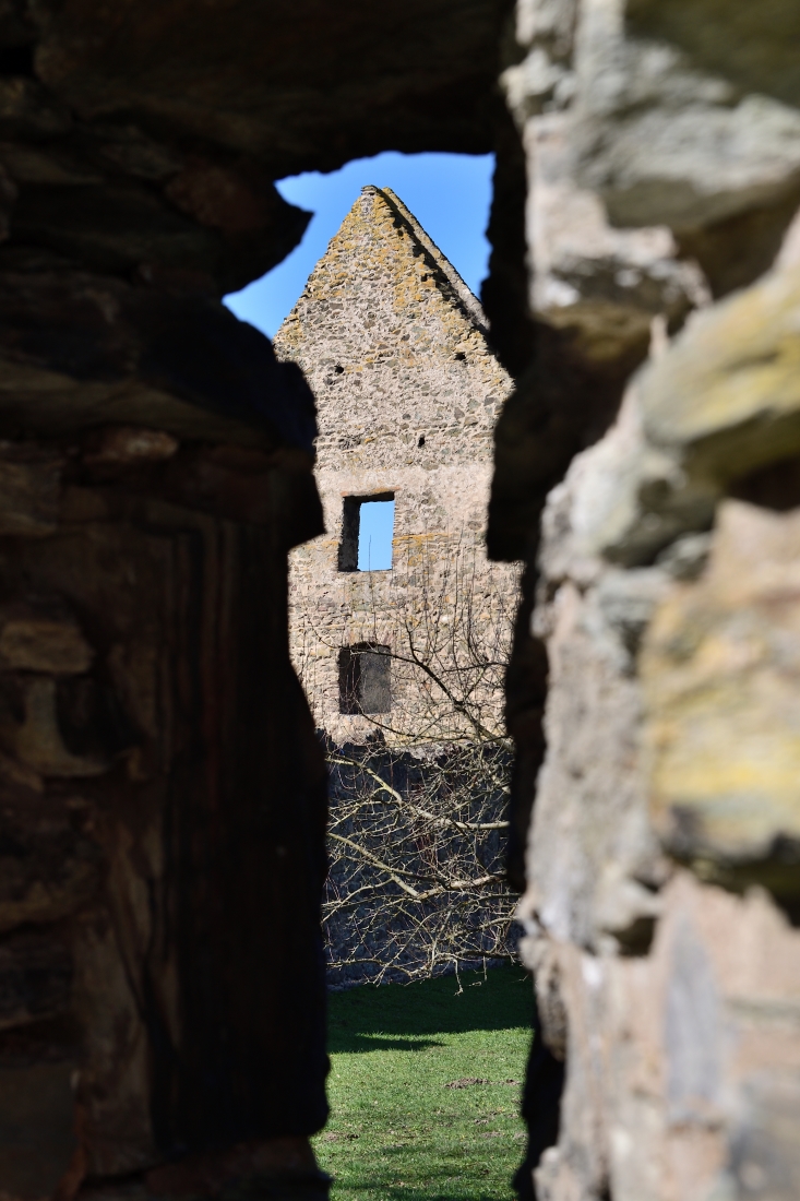 DSC_1657_00001n.jpg