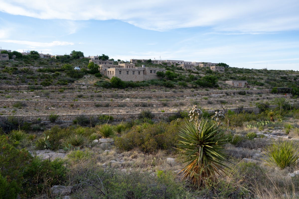DSC_1682.jpg