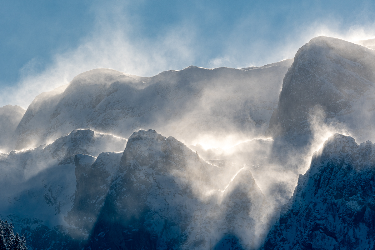 DSC_1693-2.jpg
