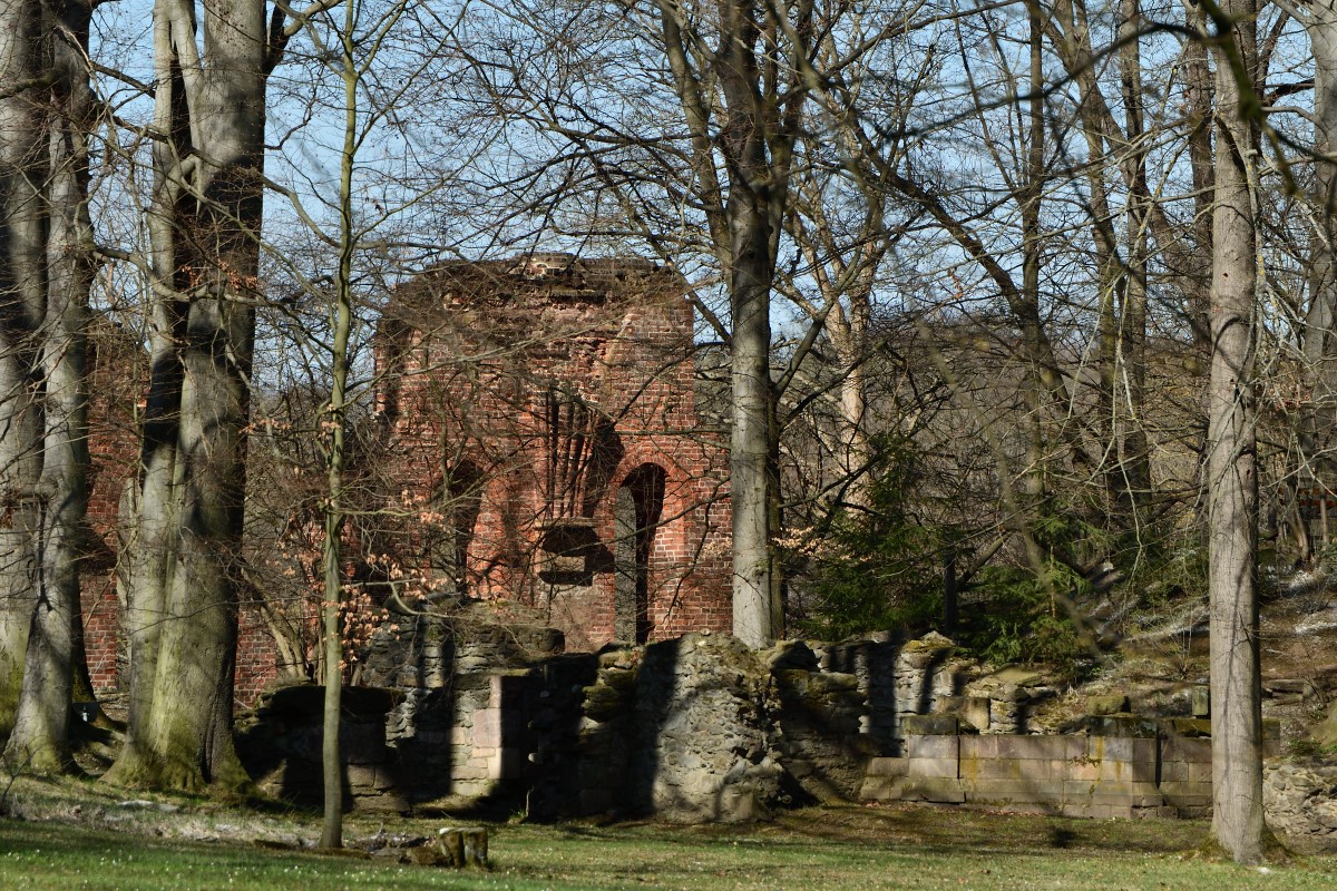 DSC_1702_00001n.jpg