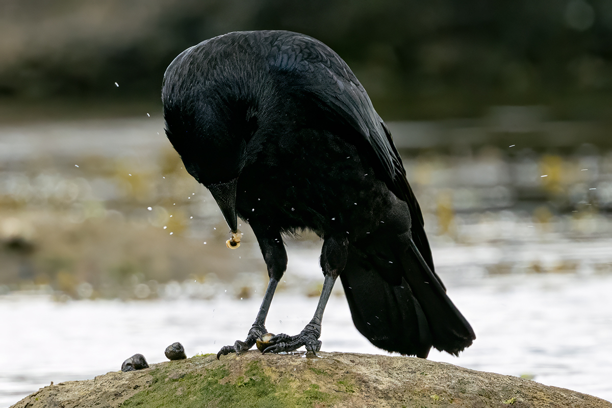 DSC_1703.jpg