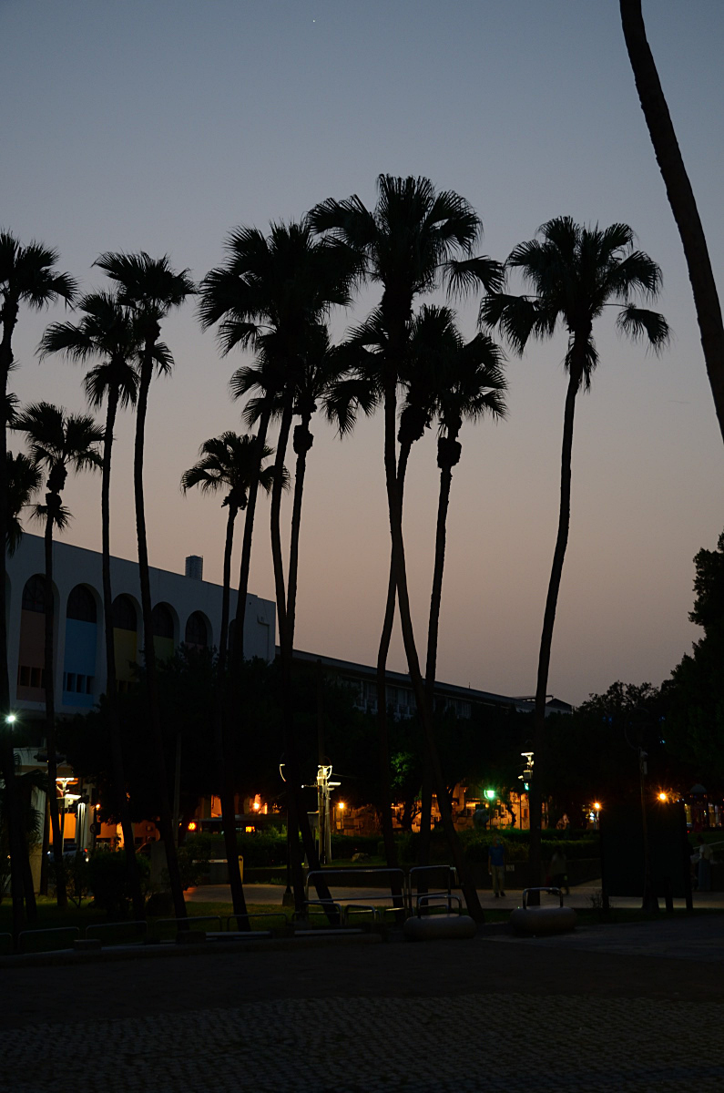 DSC_1706_klein.JPG
