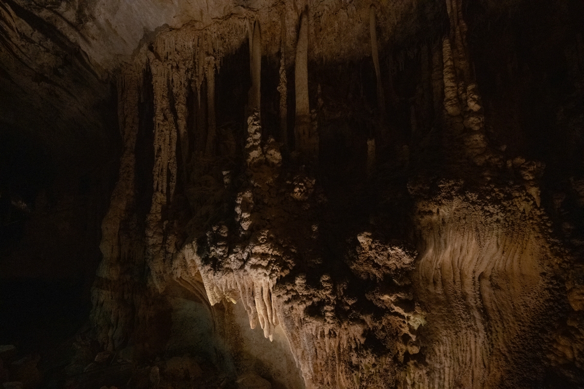 DSC_1711.jpg