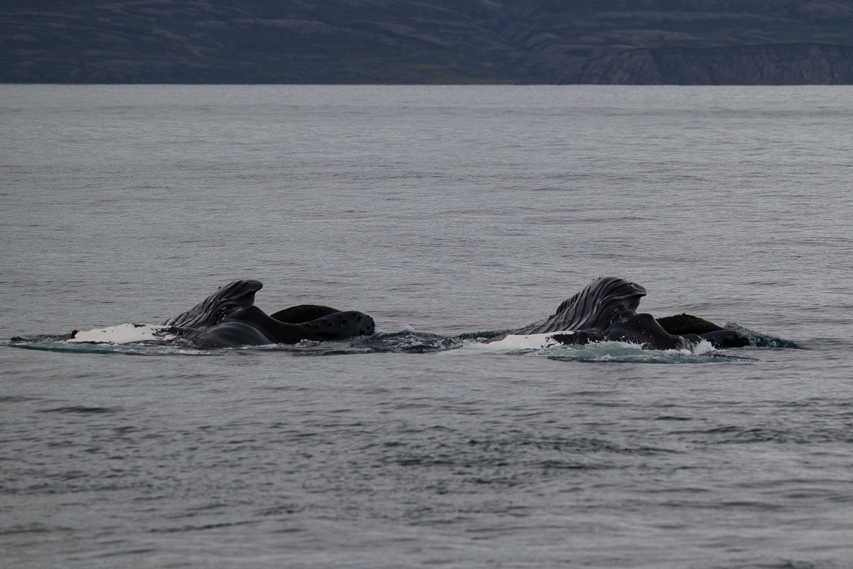 DSC_1712.jpg