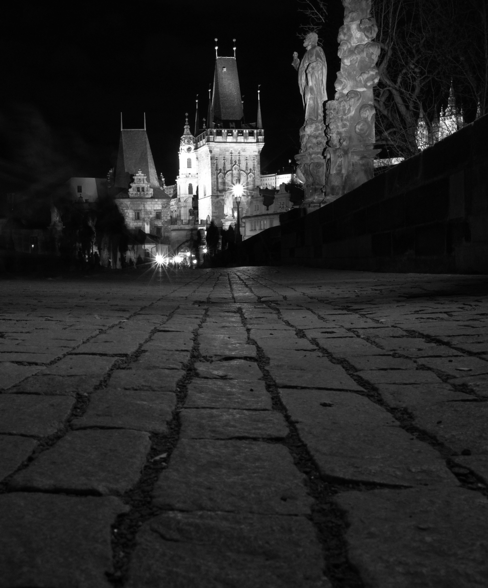 DSC_1750_00001_03n.jpg