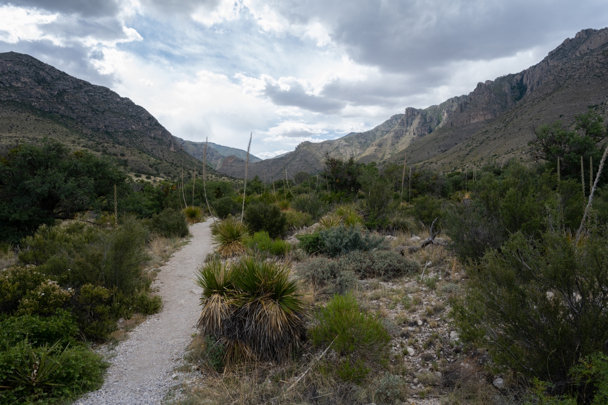 DSC_1759.jpg