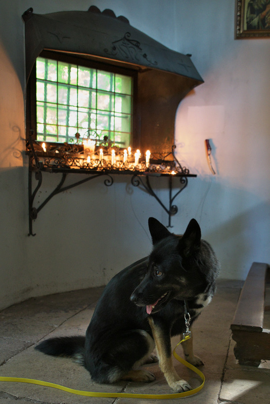 DSC_1772.jpg