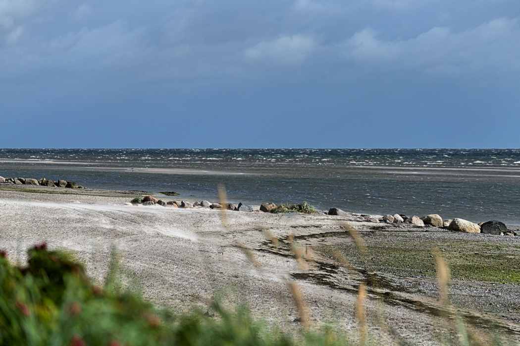 DSC_1776.jpg