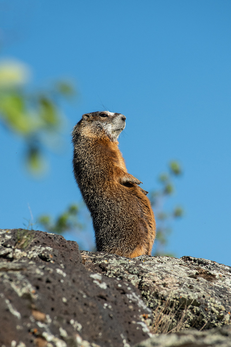 DSC_1778.jpg