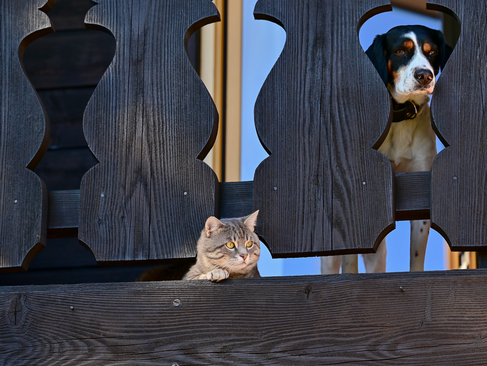 DSC_1779.jpg