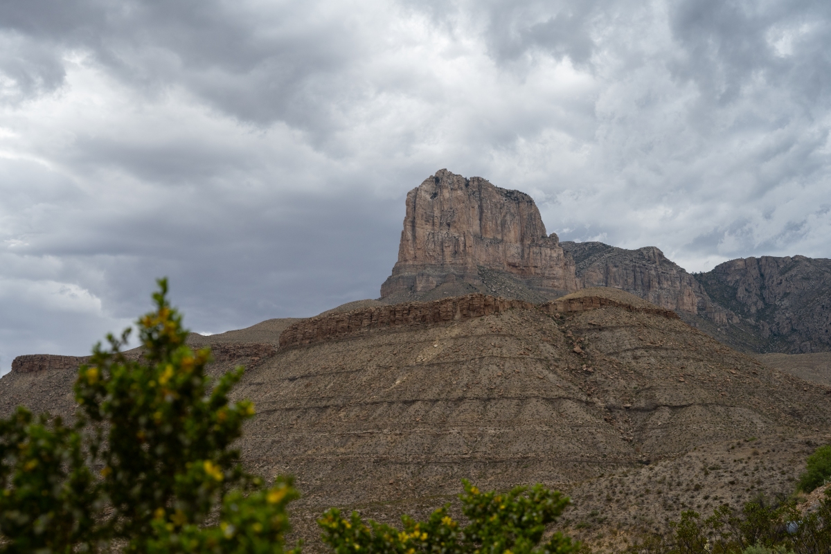 DSC_1782.jpg