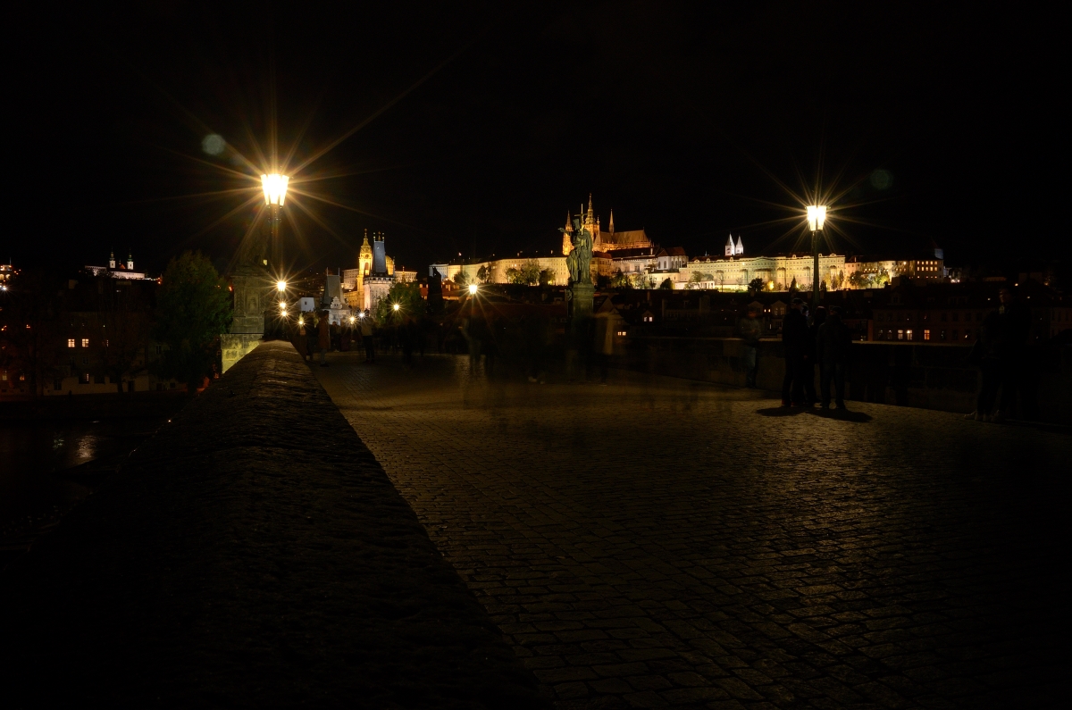 DSC_1783_00005n.jpg