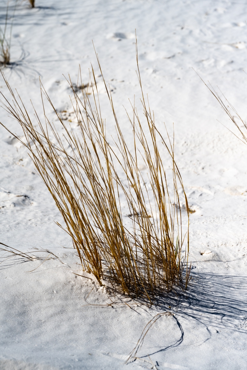DSC_1791.jpg