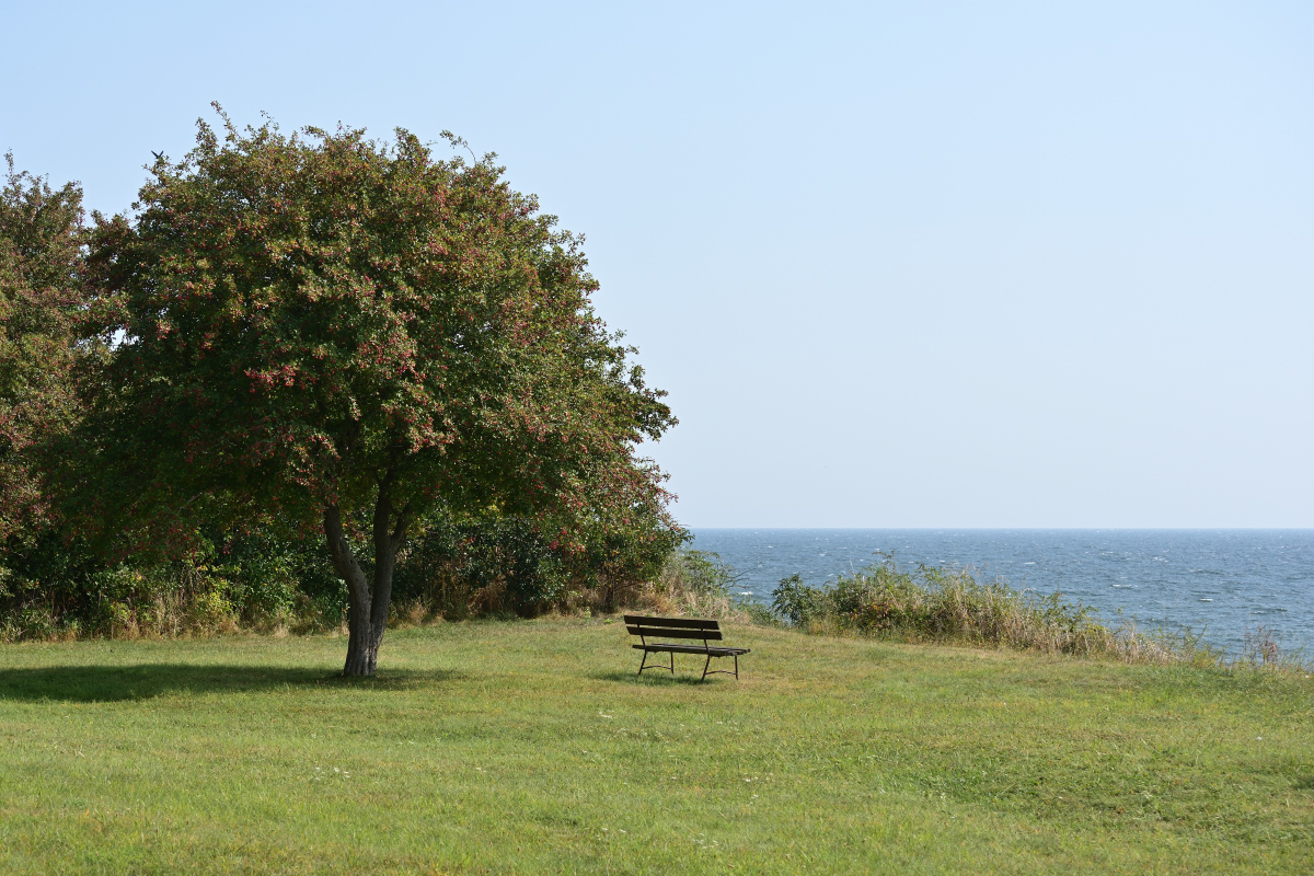 DSC_1796.JPG