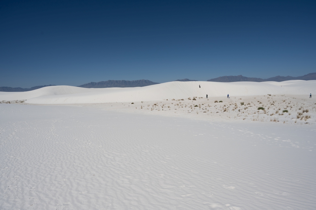 DSC_1803.jpg