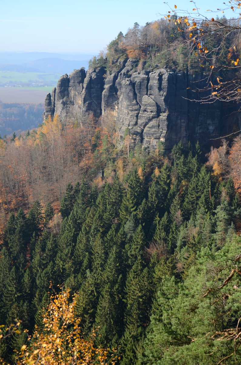 DSC_1805n.JPG