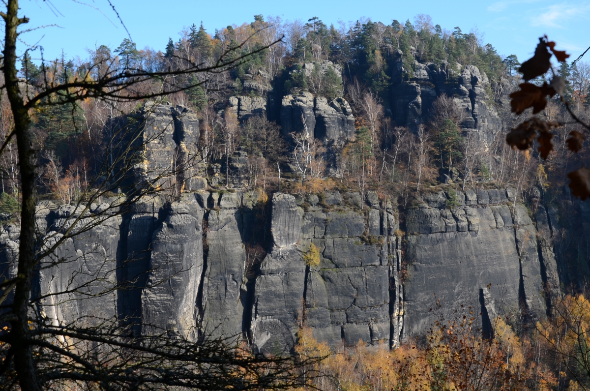 DSC_1813n.JPG