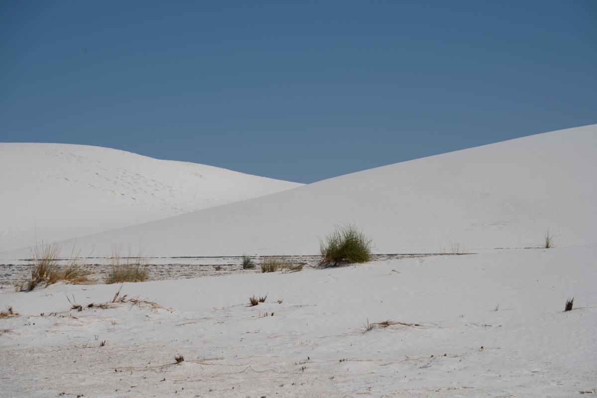 DSC_1821.jpg