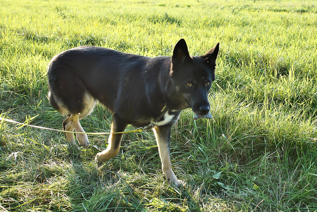 DSC_1830.jpg