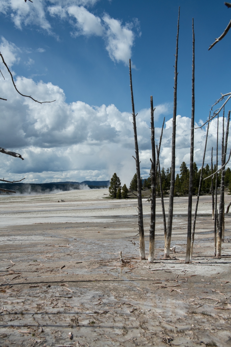 DSC_1864.jpg