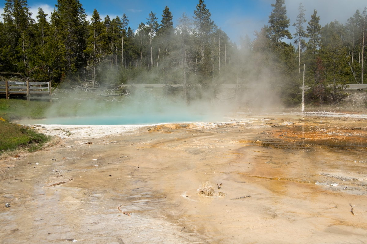 DSC_1866.jpg