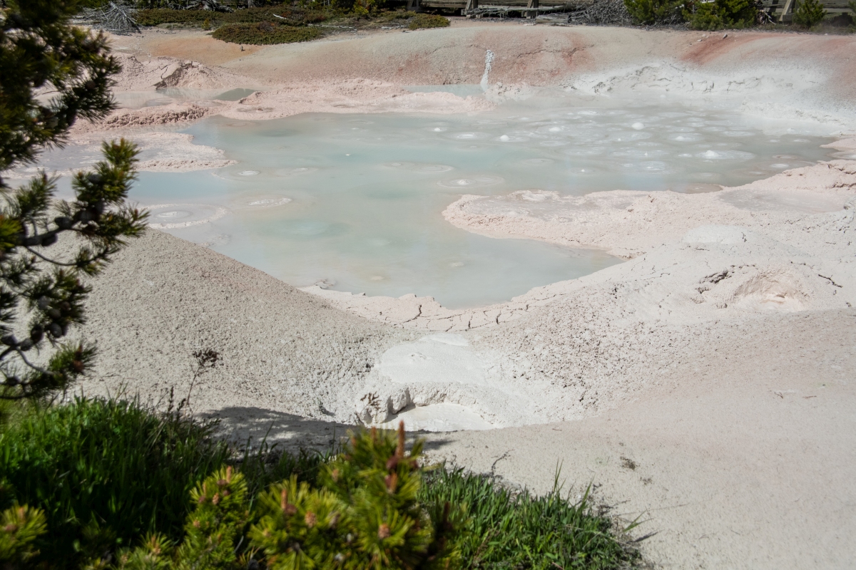 DSC_1874.jpg