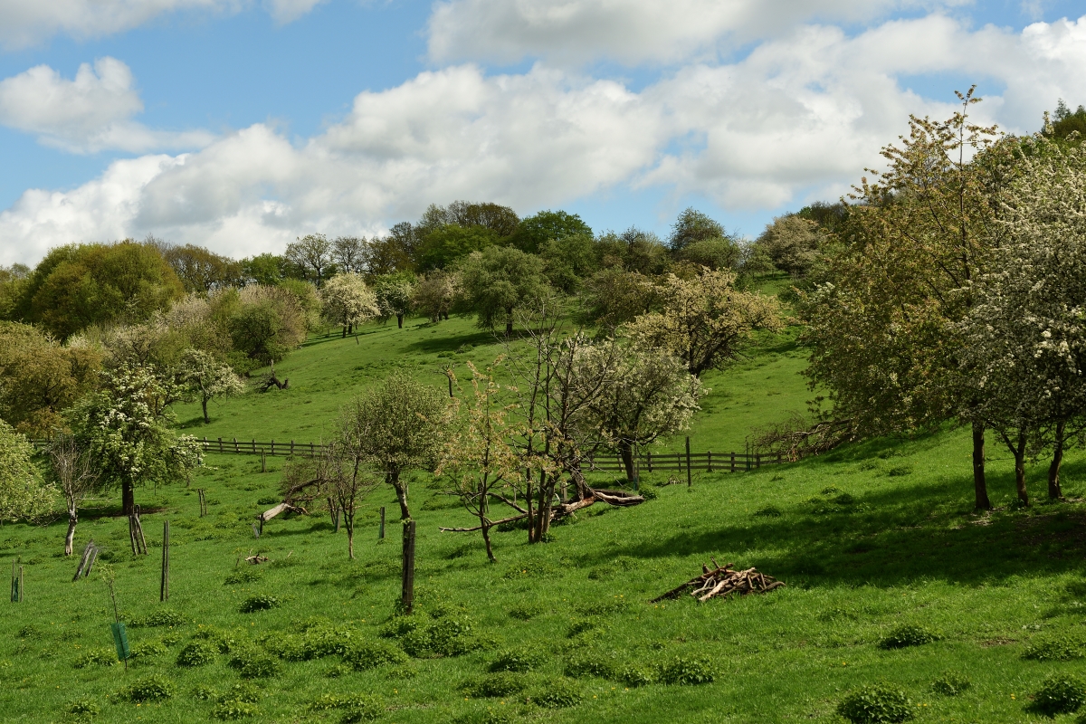 DSC_1891_00001n.jpg