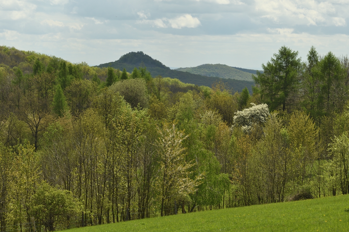 DSC_1900_00001n.jpg