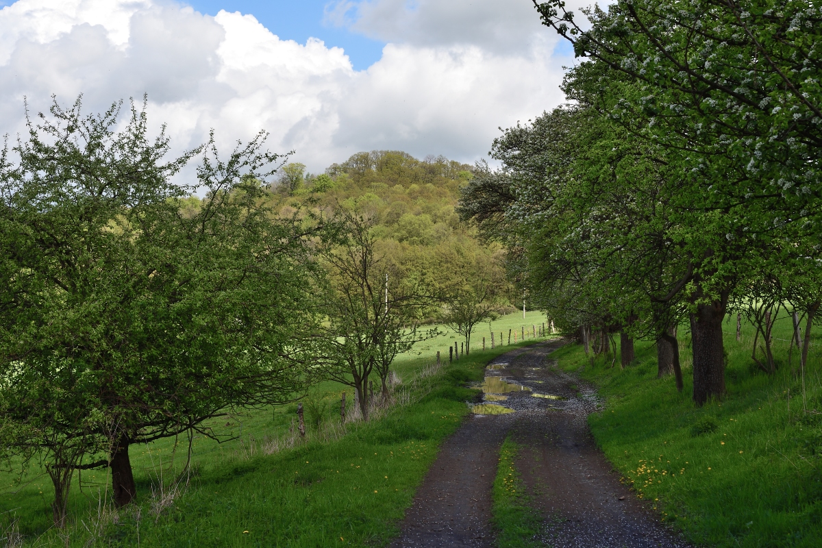 DSC_1910_00001n.jpg
