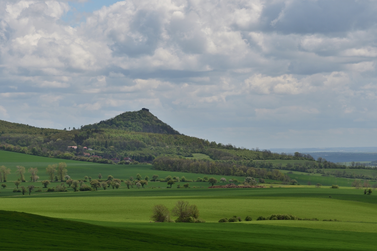 DSC_1934_00001n.jpg