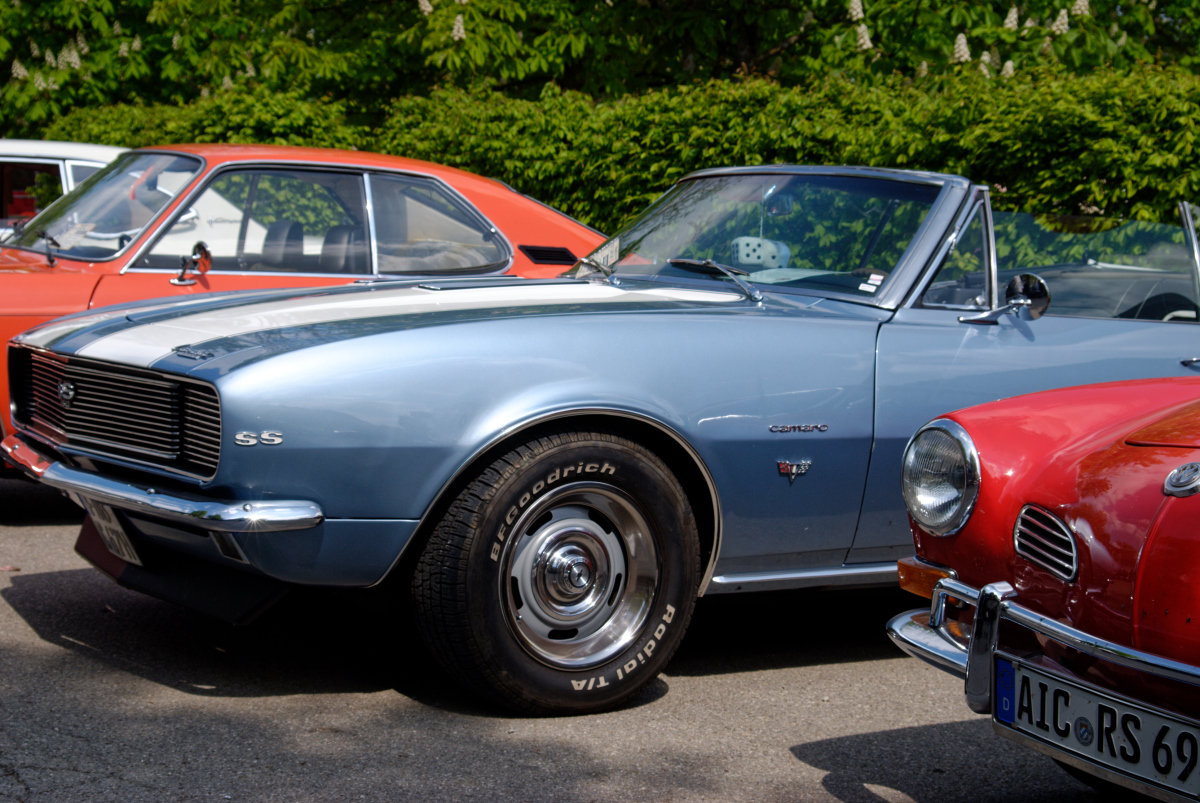DSC_1934dxo (2).jpg