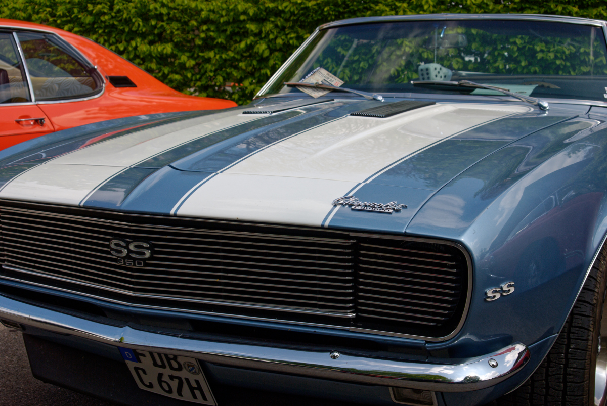 DSC_1935dxo (2).jpg