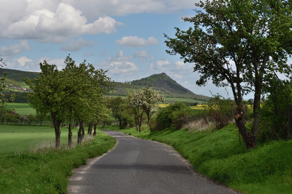 DSC_1951_00001n.jpg