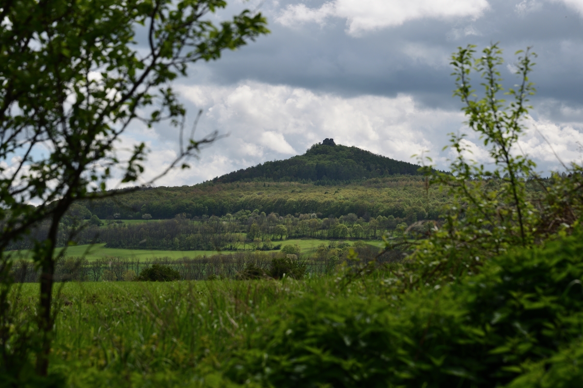 DSC_1952_00001n.jpg
