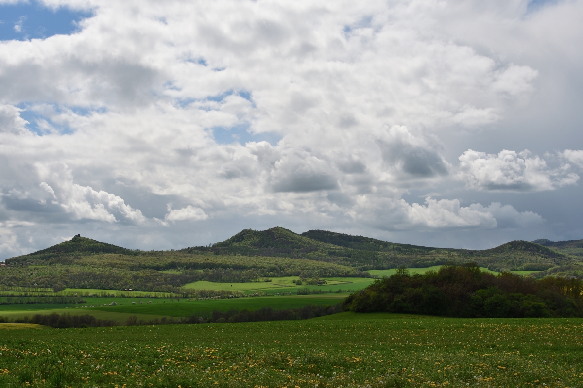 DSC_1956_00001n.jpg