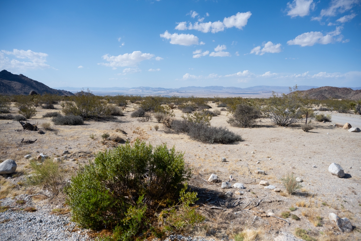 DSC_1975.jpg