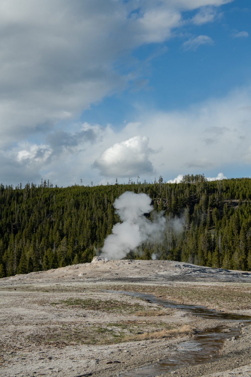 DSC_1979.jpg