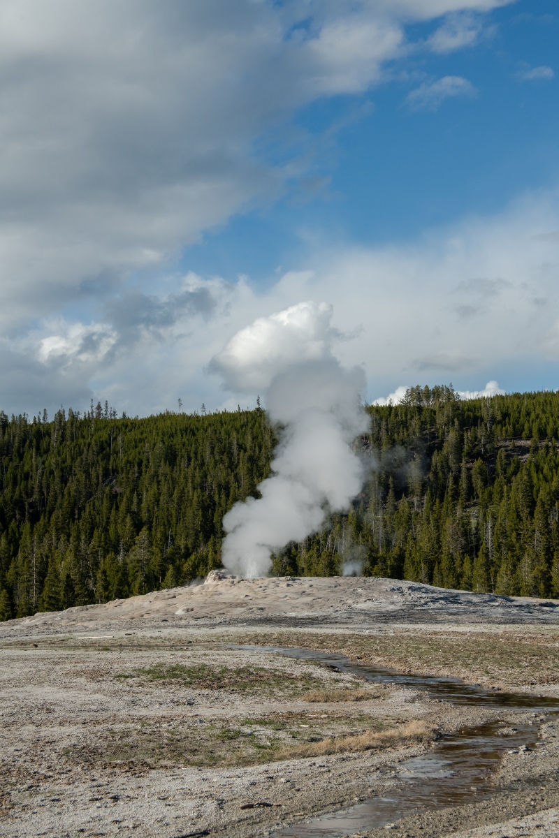 DSC_1981.jpg