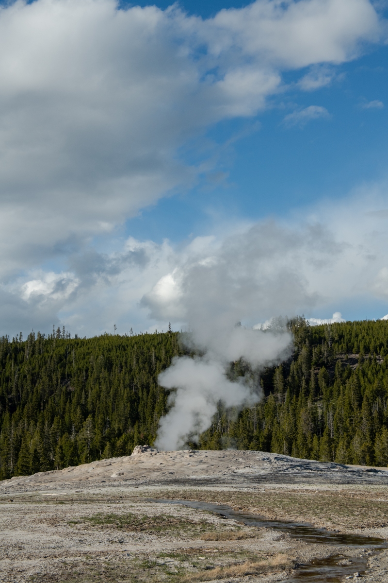 DSC_1984.jpg