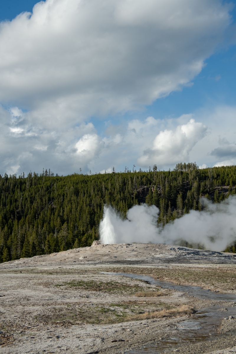 DSC_1990.jpg
