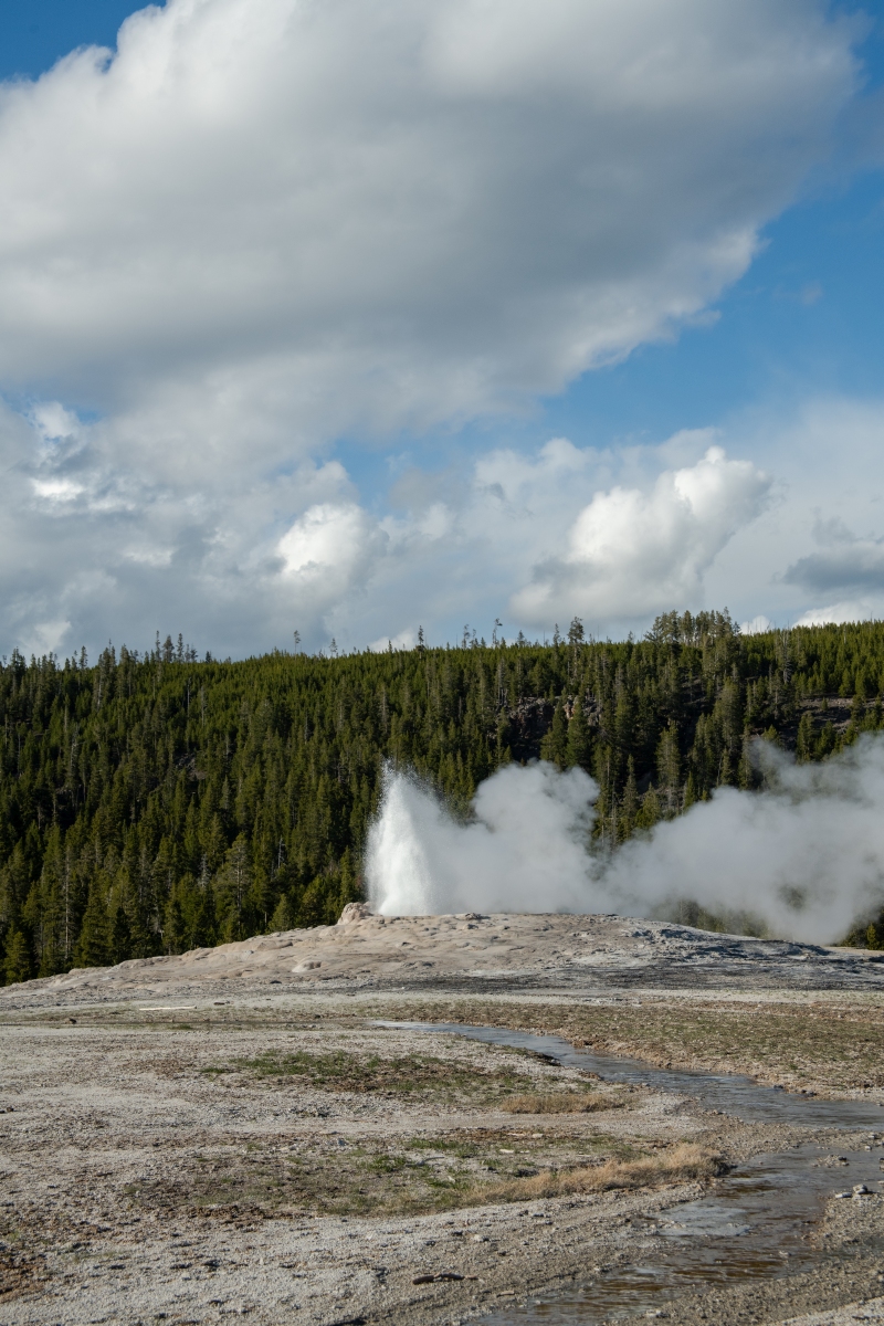 DSC_1991.jpg