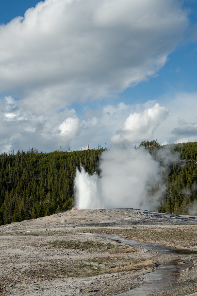 DSC_1996.jpg