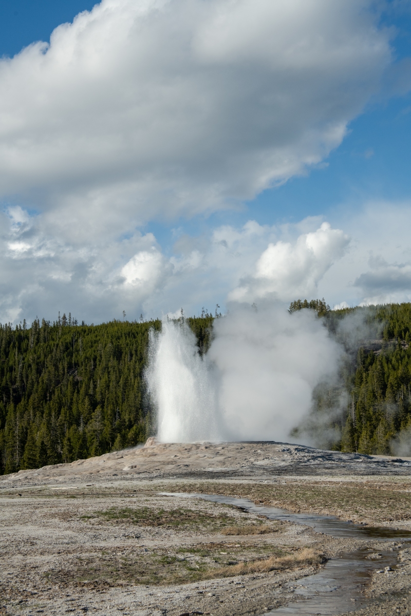 DSC_1998.jpg