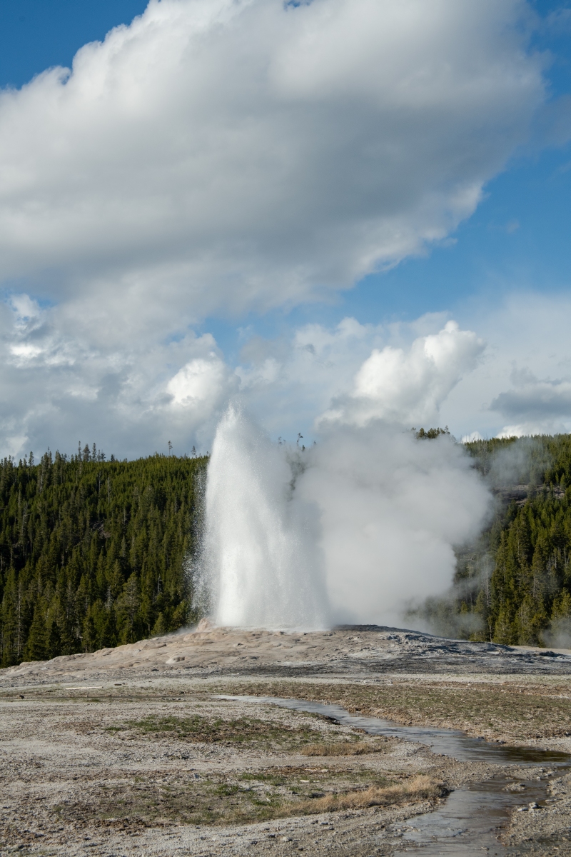 DSC_2000.jpg
