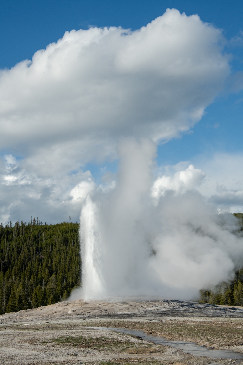 DSC_2013.jpg